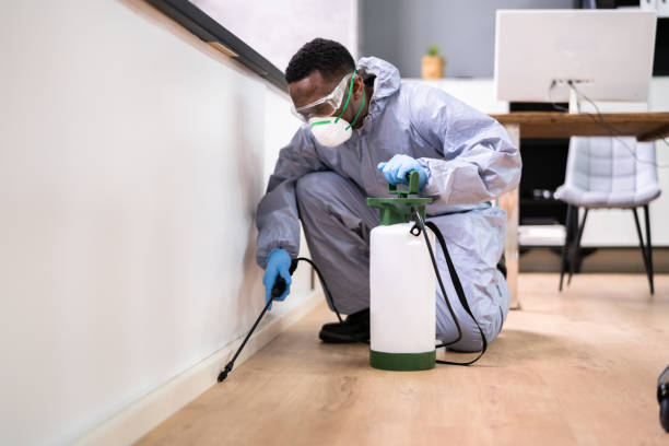 Best Fumigation Services  in Urbandale, IA